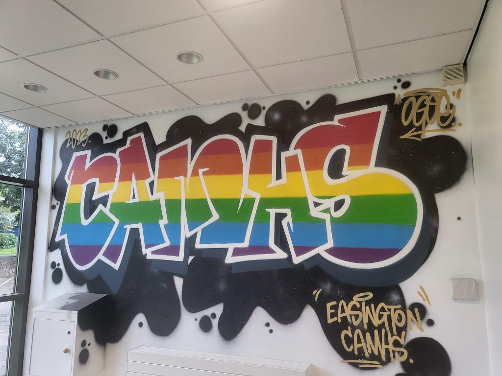 An image of the graffiti CAMHS art mural.