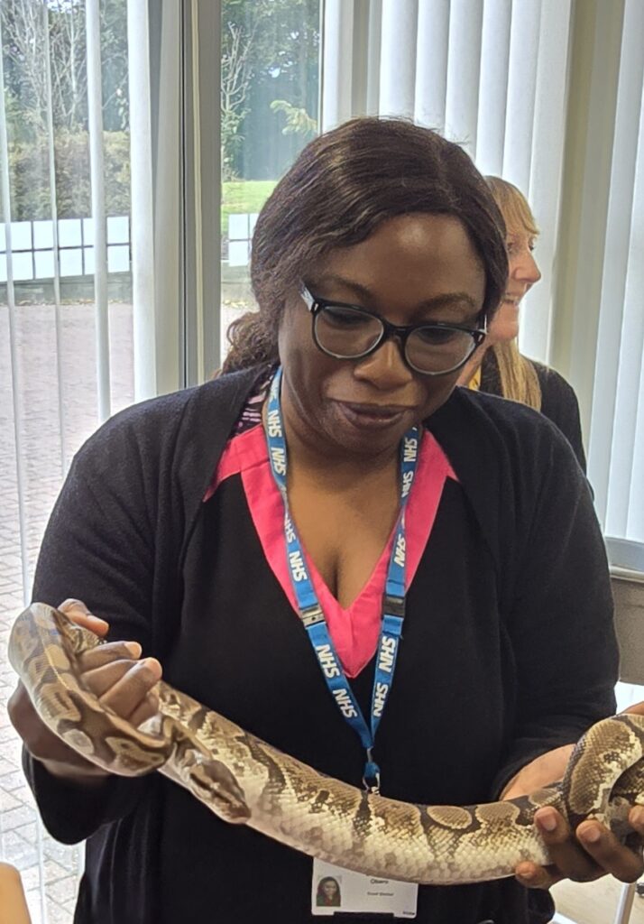 Staff member holding a corn snake.