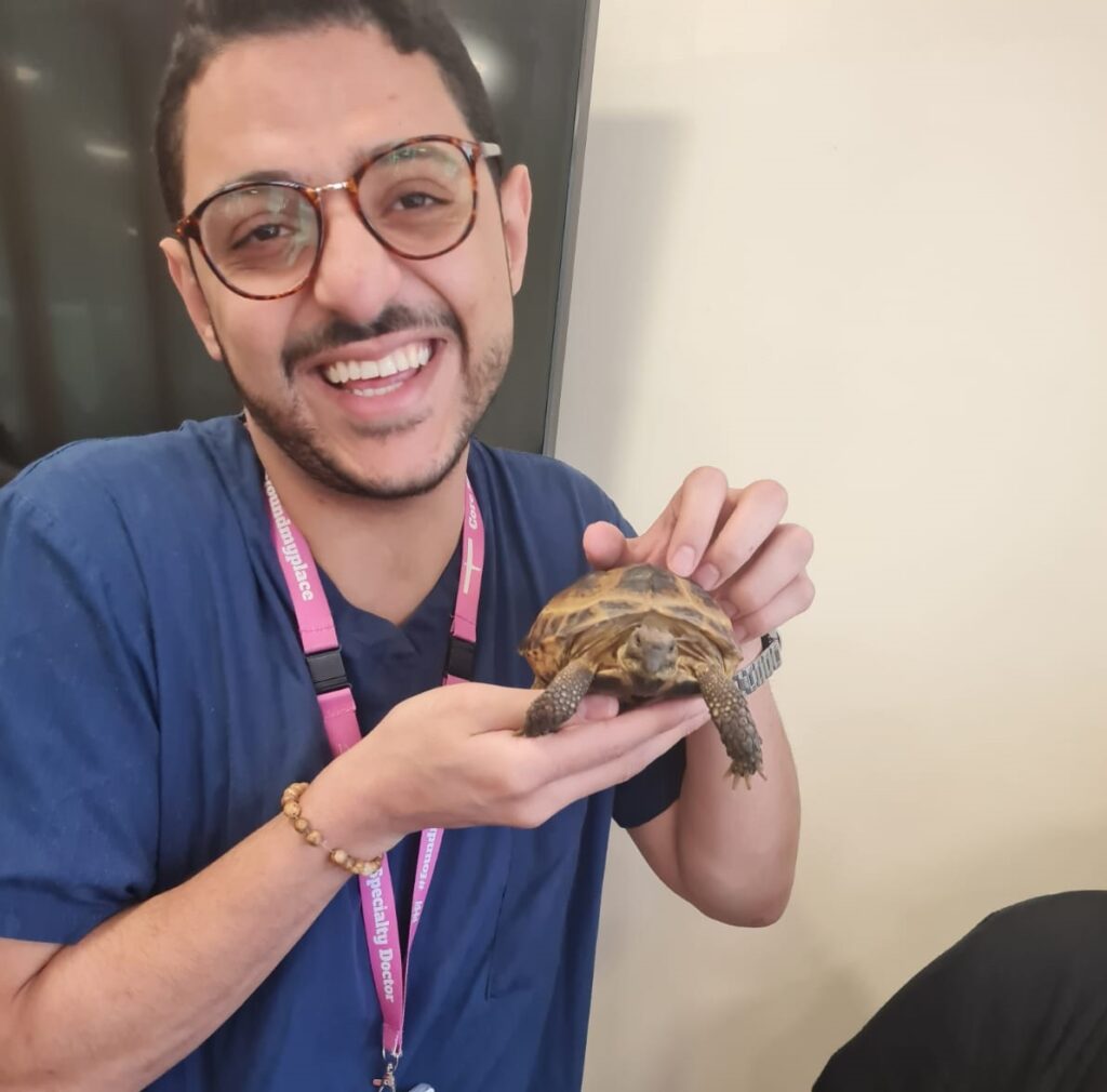 Staff member holding and showing off a tortoise